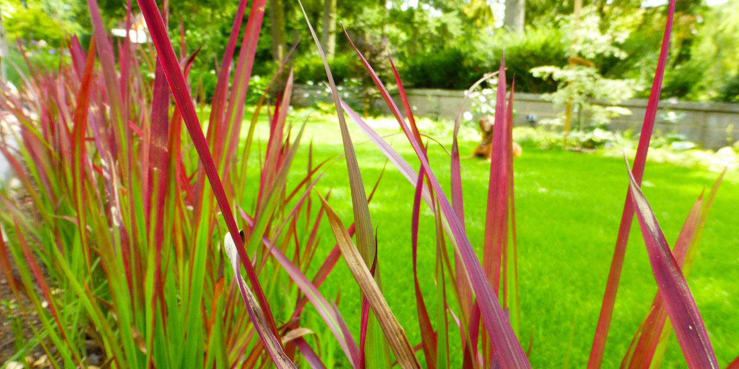 Rent A Gardener Gartenbau und Landschaftsbau aus Taunusstein